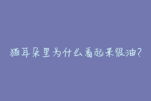 猫耳朵里为什么看起来很油?-动物百科