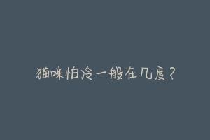 猫咪怕冷一般在几度?-动物百科