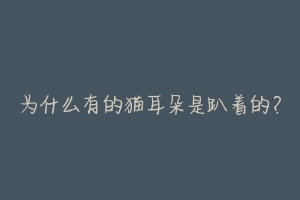 为什么有的猫耳朵是趴着的?-动物百科