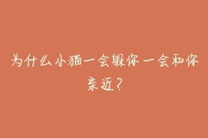 为什么小猫一会躲你一会和你亲近?-动物百科