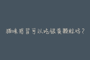 猫咪感冒可以吃银黄颗粒吗?-动物百科