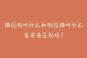 猫或狗叫什么和狗或猫叫什么意思有区别吗?-动物百科