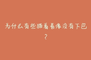 为什么有些猫看着像没有下巴?-动物百科