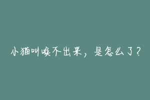 小猫叫唤不出来,是怎么了?-动物百科