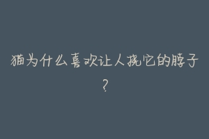 猫为什么喜欢让人挠它的脖子?-动物百科