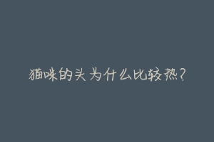 猫咪的头为什么比较热?-动物百科