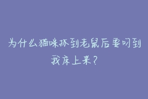 为什么猫咪抓到老鼠后要叼到我床上来?-动物百科