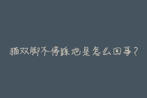 猫双脚不停踩地是怎么回事?-动物百科