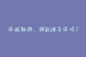 你越黏猫,猫就嫌弃你吗?-动物百科
