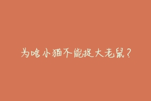 为啥小猫不能捉大老鼠?-动物百科