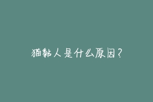 猫黏人是什么原因?-动物百科