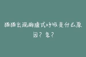 猫猫出现胸腹式呼吸是什么原因?急?-动物百科