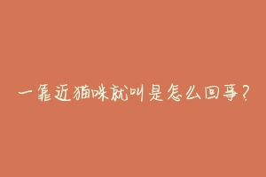 一靠近猫咪就叫是怎么回事?-动物百科