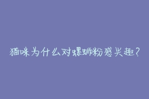 猫咪为什么对螺蛳粉感兴趣?-动物百科