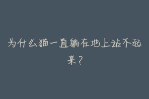 为什么猫一直躺在地上站不起来?-动物百科