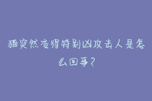 猫突然变得特别凶攻击人是怎么回事?-动物百科