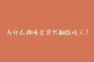 为什么猫咪会突然翻脸咬人?-动物百科