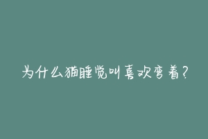 为什么猫睡觉叫喜欢弯着?-动物百科