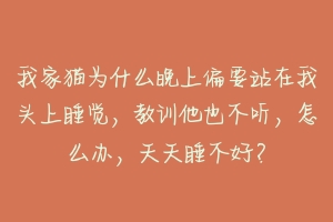 我家猫为什么晚上偏要站在我头上睡觉,教训他也不听,怎么办,天天睡不好?-动物百科