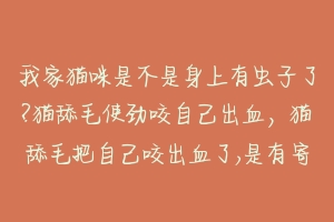 我家猫咪是不是身上有虫子了?猫舔毛使劲咬自己出血,猫舔毛把自己咬出血了,是有寄生虫吗?-动物百科