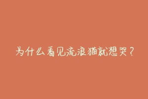 为什么看见流浪猫就想哭?-动物百科