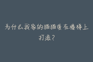 为什么我家的猫猫爱在楼梯上打滚?-动物百科