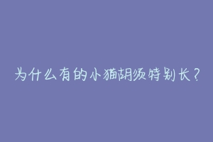 为什么有的小猫胡须特别长？-动物百科