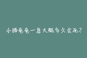小猫奄奄一息大概多久会死?-动物百科