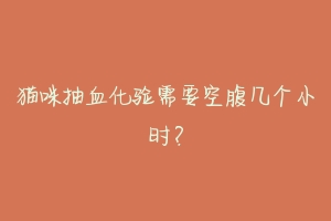 猫咪抽血化验需要空腹几个小时?-动物百科
