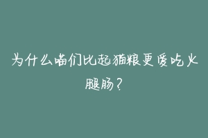 为什么喵们比起猫粮更爱吃火腿肠?-动物百科
