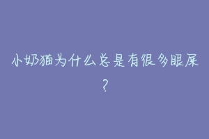 小奶猫为什么总是有很多眼屎?-动物百科