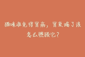 猫咪难免得肾病,肾衰竭了该怎么照顾它?-动物百科