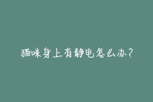 猫咪身上有静电怎么办？-动物百科