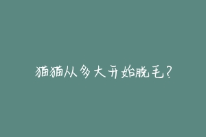 猫猫从多大开始脱毛?-动物百科