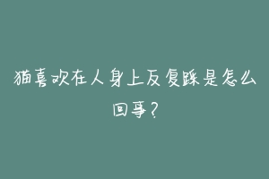 猫喜欢在人身上反复踩是怎么回事？-动物百科