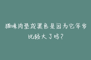 猫咪肉垫成黑色是因为它年岁比较大了吗？-动物百科