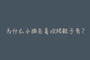 为什么小猫总喜欢爬鞋子旁？-动物百科