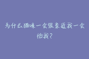 为什么猫咪一会很亲近我一会怕我？-动物百科