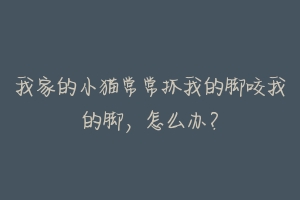 我家的小猫常常抓我的脚咬我的脚，怎么办？-动物百科