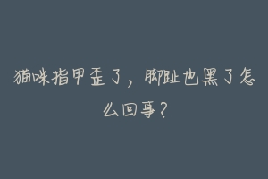 猫咪指甲歪了,脚趾也黑了怎么回事?-动物百科