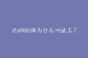 沈翊的猫为什么叫晓玄?-动物百科