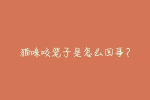 猫咪咬笼子是怎么回事?-动物百科