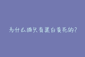 为什么猫只有黑白黄花的?-动物百科