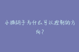 小猫胡子为什么可以控制的方向?-动物百科