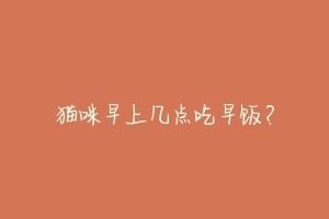 猫咪早上几点吃早饭?-动物百科