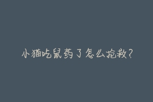 小猫吃鼠药了怎么抢救?-动物百科
