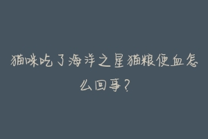 猫咪吃了海洋之星猫粮便血怎么回事?-动物百科