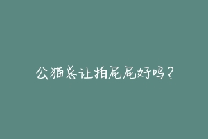公猫总让拍屁屁好吗?-动物百科