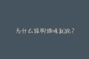 为什么跺脚猫咪就跑?-动物百科