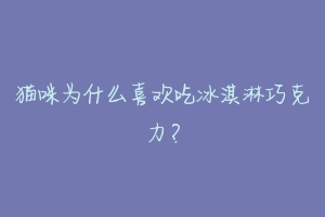 猫咪为什么喜欢吃冰淇淋巧克力？-动物百科